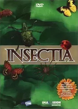昆虫王国 第一季