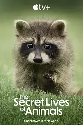 动物的秘密生活